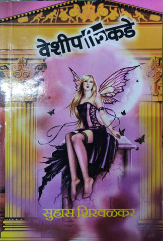वेशिपलीकडे image 0